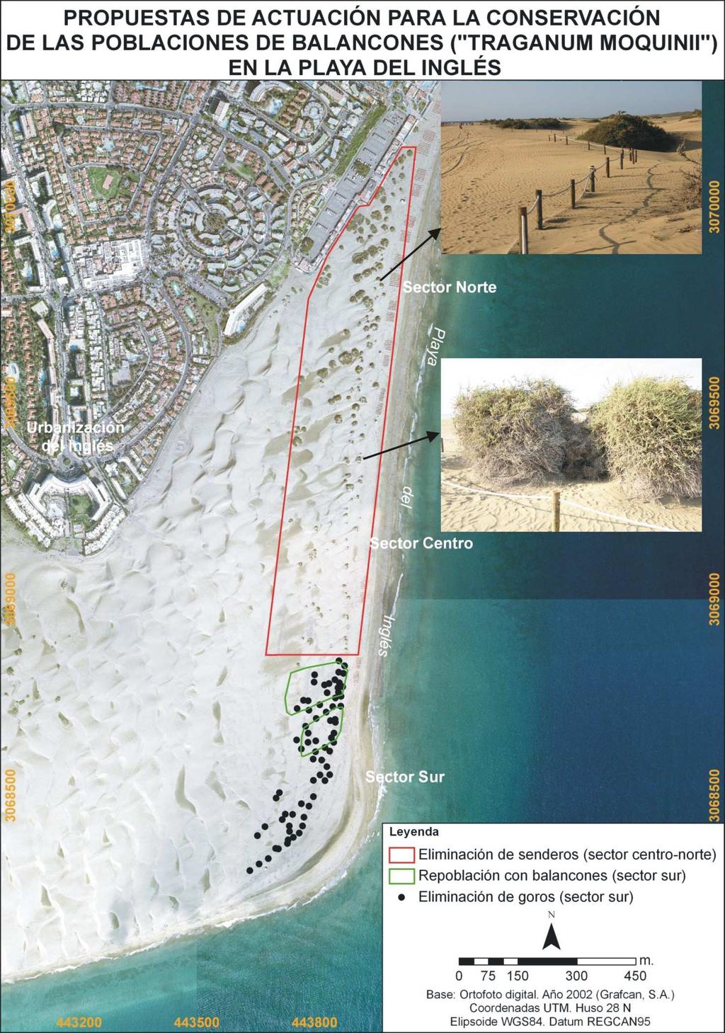 302 La gestión integrada de playas y dunas (2012) Fig. 11.