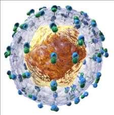 Virus de la Hepatitis C Virus ARN. Familia Flaviviridae.