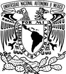 UNIVERSIDAD NACIONAL AUTÓNOMA DE MÉXICO FACULTAD DE INGENIERÍA División de Ingeniería en
