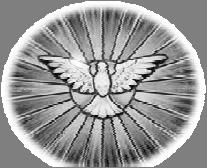 Énfasis Especial Sobre el Espíritu Santo NOTE: : En este capítulo 8 de Romanos, el Espíritu Santo es mencionado 19 veces.