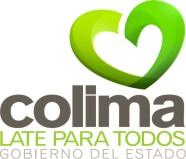 CO LIMA, A.C. INFORME FINAL DEL