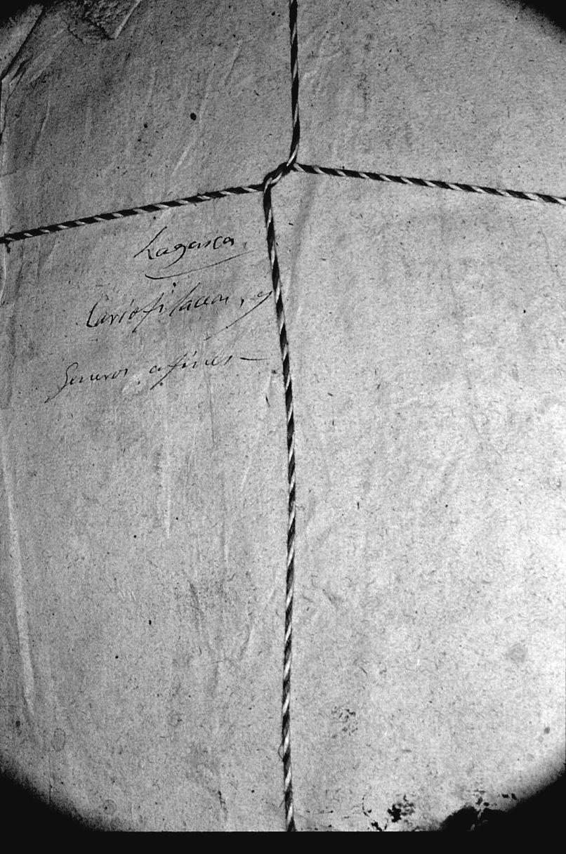 M. A. Carrasco y D. Perea Cistaceae de A. J. Cavanilles (1745-1804) recuperadas en el Herbario del Real Colegio... Fig. 2 Paquete rotulado (m. Graells) Cistus tipos ex Lagasca. Fig. 1 Paquete rotulado (m.
