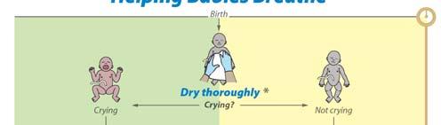 Helping Babies Breathe (HBB) -
