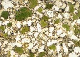 Figura 1.15. Fragmentos de cuarzo, ejemplo de terrígeno. Minerales Autigénicos. Los minerales autigénicos son cristales nuevos, generados in situ en el sedimento y en general de forma euedral.
