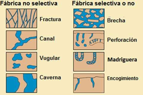 Porosidad intrapartícula. Ocurre dentro de las partículas, se forma entre las cavidades existentes en las conchas de los organismos, también en los granos por disolución. Porosidad intercristalina.
