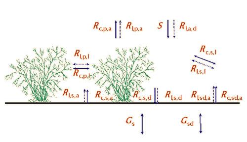 El balance de radiación puede ser extremadamente complejo cuando la superficie?ene algún elemento de heterogeneidad, como por ejemplo en el caso de vegetación dispersa.