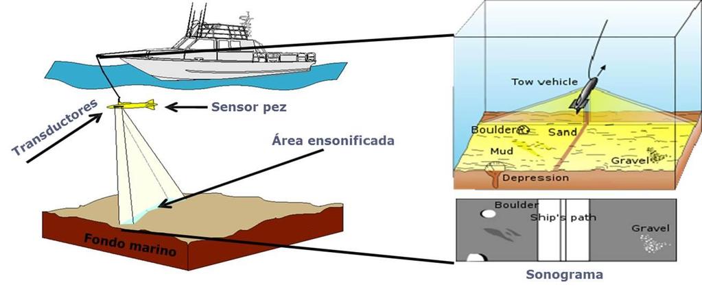 CÓMO FUNCIONA EL SISTEMA SBL? Integrado en una estructura de pez, el sensor es remolcado a través de un cable de comunicación con el sistema de control a bordo de la embarcación de remolque.