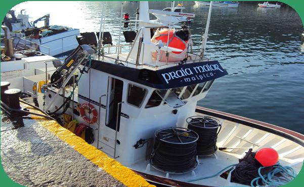 Las medidas relativas a la renovación y modernización de la flota pesquera