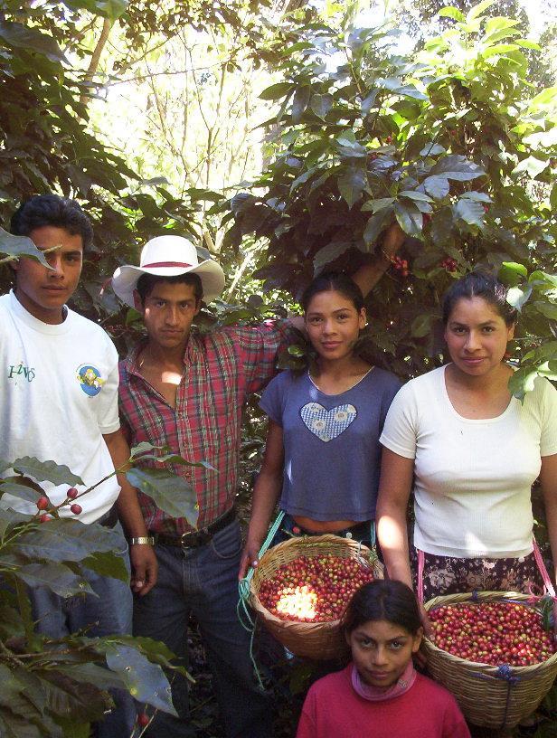 Agrobiodiversidad en Nicaragua CAFÉ (Coffea