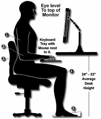 Modelo de Excelencia: Fisiología Adopta una posición cómoda y alerta de tu cuerpo, ten la espalda recta, la espalda y hombros