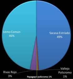 El análisis tipológico reflejó que 49% del material cerámico corresponde a elementos diagnósticos de tipo Sacasa Estriado, 3% Rivas Rojo, 1% Papagayo policromo y 1% Vallejo policromo (gráfico 2).