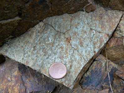 una munió de minerals amb aspecte de pigues. El pigallat és un tret distintiu del metamorfisme de contacte. Foto 16.