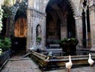6. Claustre de la Catedral El claustre va ser construït entre 1350 i 1448 i s hi pot accedir per la porta de Santa Eulàlia i la de la Pietat o per la capella romànica de Santa Llúcia.