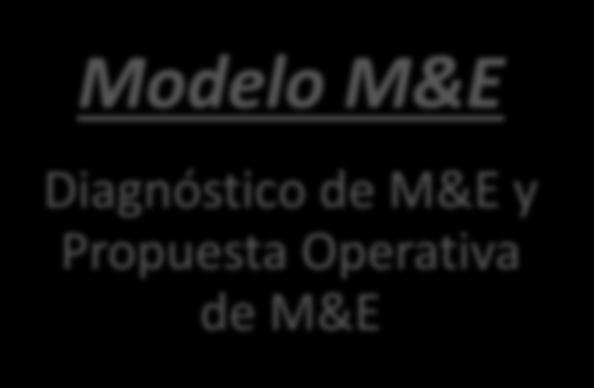 Diagnóstico de M&E y