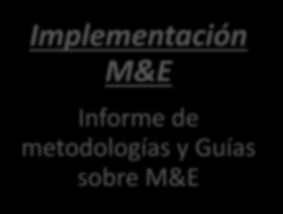 Implementación M&E Informe