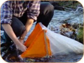 Experiencias e investigaciones Seguimiento de la calidad de las aguas en el Parque Nacional de Ordesa y Monte Perdido Desde el año 2011 se realiza un seguimiento de la calidad de las aguas en los