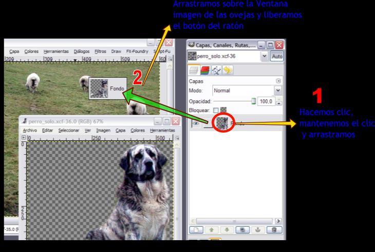 2. Minimiza todas las Ventanas imagen excepto las que contienen los archivos