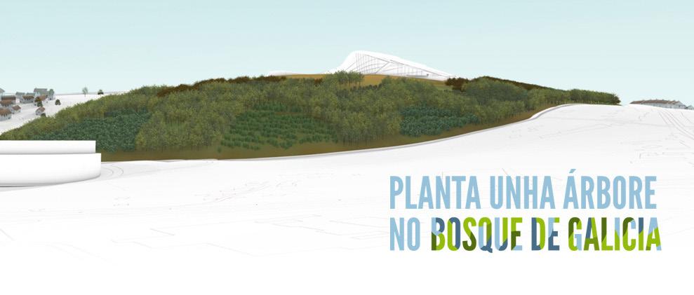 12 Área de planificación e programación de eventos 436 Planta unha árbore no Bosque de Galicia Actividade na que se deu a a coñecer este novo espazo verde de Compostela a