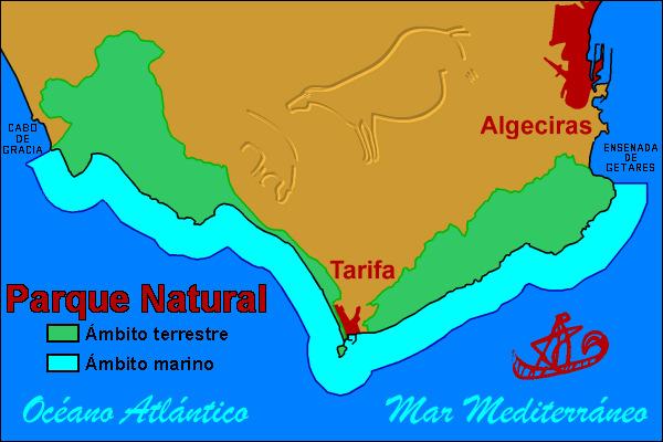 Estudio de la diversidad de algas de la zona intermareal del Parque Natural del Estrecho INTRODUCCIÓN La franja litoral de los municipios de Tarifa y Algeciras se ha convertido en el último Parque
