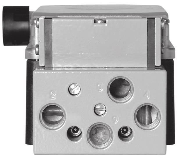 Filtro de desaireación y tipo protección Los equipos van equipados con un filtro (IP 54) o bien un filtro con válvula antirretorno (IP 65).