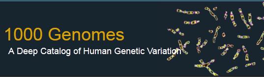 Caracterización de la variación genética en el genoma humano La mayor