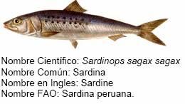 La sardina del Perú Esta controversia se dirimió, básicamente, bajo las disciplinas del Acuerdo sobre Obstáculos Técnicos al Comercio.