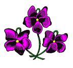 SEPTIEMBRE 201 4 1 2 3 4 5 6 7 LAS TRES VIOLETAS MARISTAS Las tres violetas son el símbolo pro excelencia de los hermanos maristas.