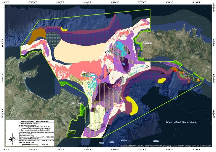 Catálogo Balear de Especies Amenazadas y de Especial Protección (Decreto 75/20