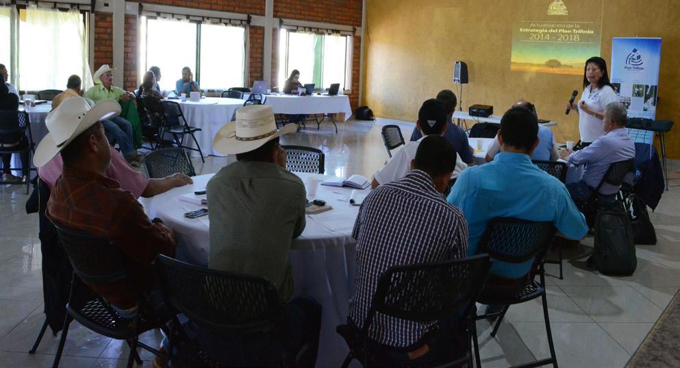 Plan Trifinio socializa Estrategia Centroamericana de Desarrollo Rural Territorial en la Región Trifinio La en coordinación con la Mancomunidad Trinacional Fronteriza Río Lempa realizó el taller de