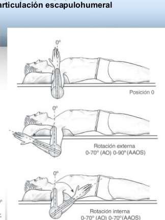 Posición cero. - Es la posición anatómica desde la que generalmente se miden los arcos articulares Posición de reposo.