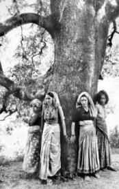 Movimiento Chipko (India, 1972) Un grupo de mujeres se abrazaron a los árboles de los bosques