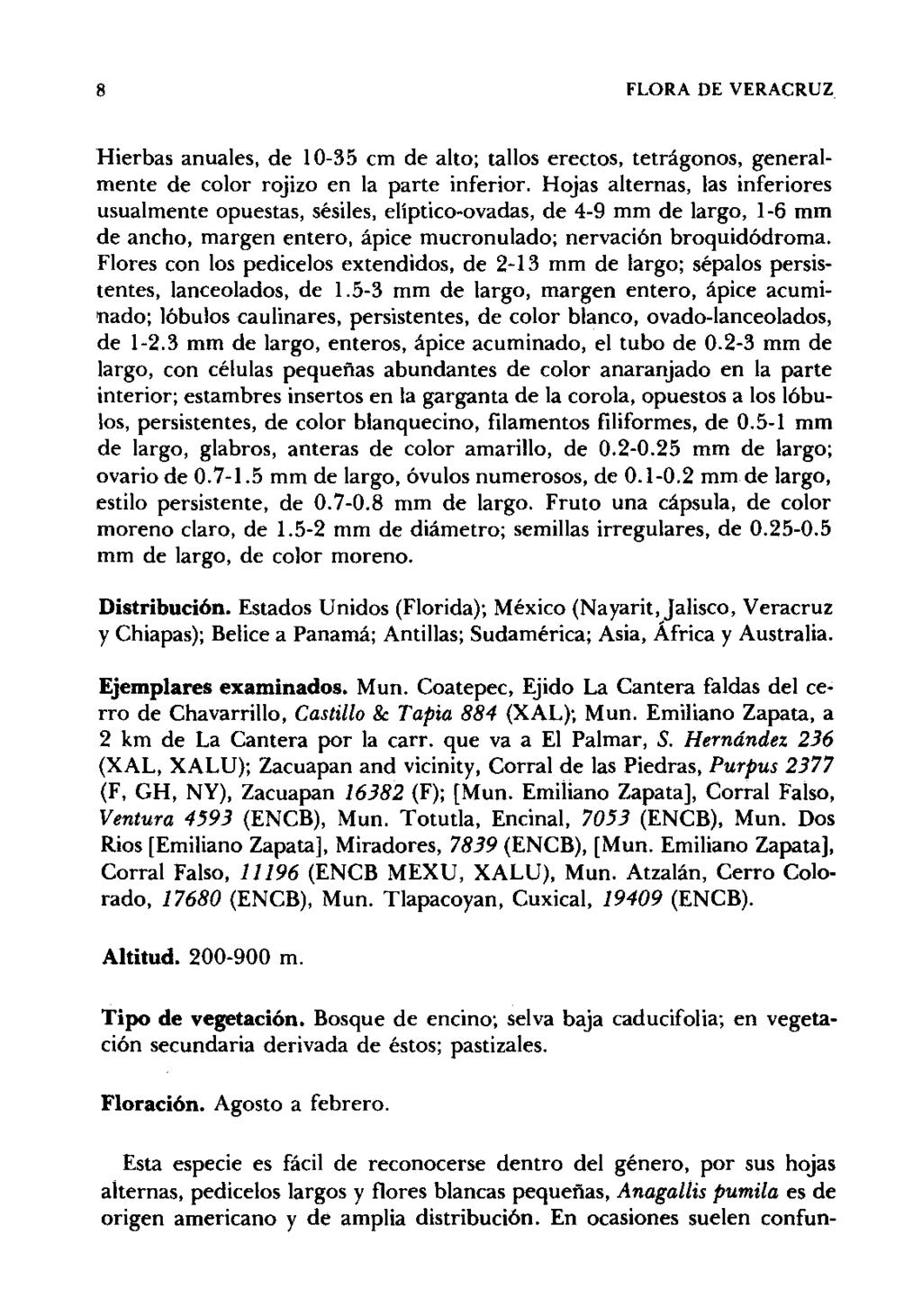 8 FLORA DE VERACRUZ Hierbas anuales, de 10-35 cm de alto; tallos erectos, tetrágonos, generalmente de color rojizo en la parte inferior.