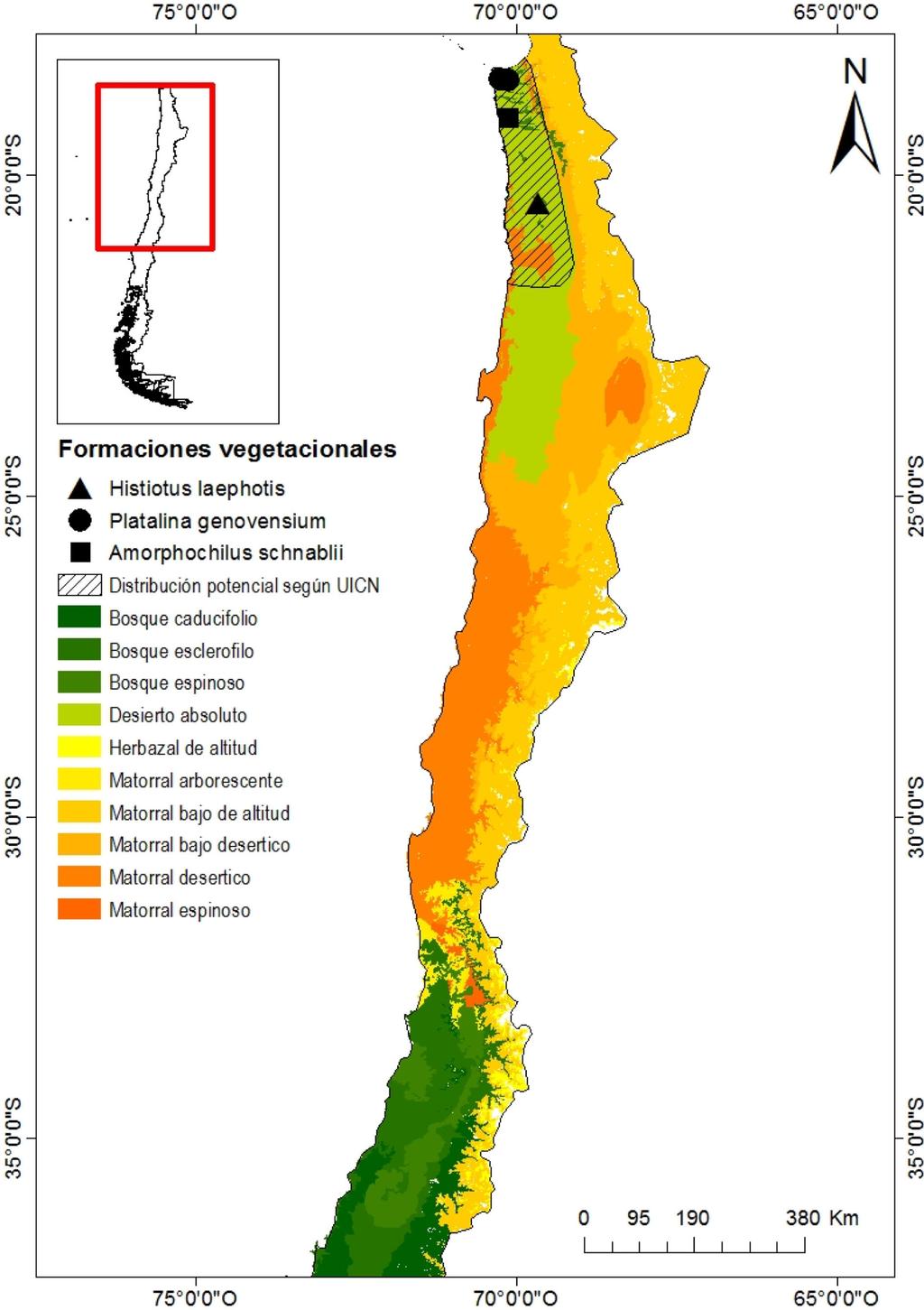 Fig. 4. Distribución potencial de Amorphochilus schnablii según UICN (2015) en Chile.