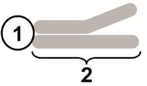 36. El dibujo muestra la forma común de representar esquemáticamente a un tipo de biomolécula. a) Indique de qué biomolécula se trata [0,2].