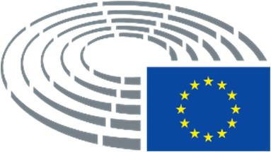 Parlamento Europeo 2014-2019 Comisión de Comercio Internacional 2017/0000(INI) 22.6.