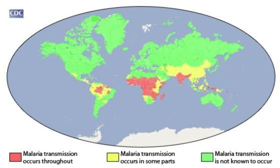 Página 10 SITUACIÓN EPIDEMIOLÓGICA INTERNACIONAL Noventa y un países comunicaron que seguían teniendo transmisión del paludismo en 2015; todos están trabajando para reducir su carga mediante la