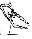 VIGA 1 2 3 Serie obligatoria: 4 5 6 (3) 1 Entrada: frente a la viga, impulso de dos pies, subir a la posición de spagat frontal(1.