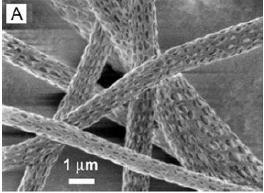Figura 8. Estructura porosa de una nanofibra [35