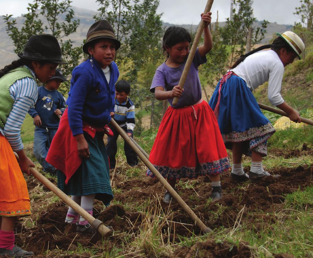 4. Trabajo infantil oculto y no remunerado En el Ecuador, alrededor de 5.2 niñas y adolescentes han sido víctimas de explotación sexual (OIT).