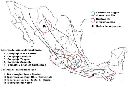 I) Mesa Central, II) Oaxaca-Chiapas-Guatemala, III) Occidente y IV) Norte de México (Figura 41).