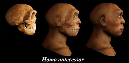 La arqueología ha confirmado la presencia del género Homo (seres humanos) en la Península Ibérica.
