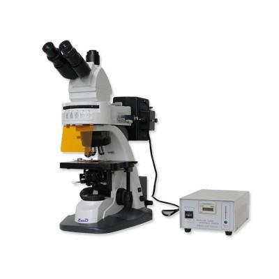 HBF001 Microscopio epi-fluorescencia 158/358 4.