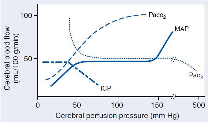FISIOPATOLOGÍA Autorregulación cerebral Capacidad de la vasculatura cerebral para mantener un FSC constante a pesar de cambios en la PPC Baja presión de perfusión lleva a vasodilatación y viceversa