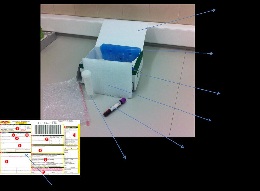 Instrucciones de envío de muestras para el análisis enzimático, genético y biomarcadores Cod.: IT.10.02.