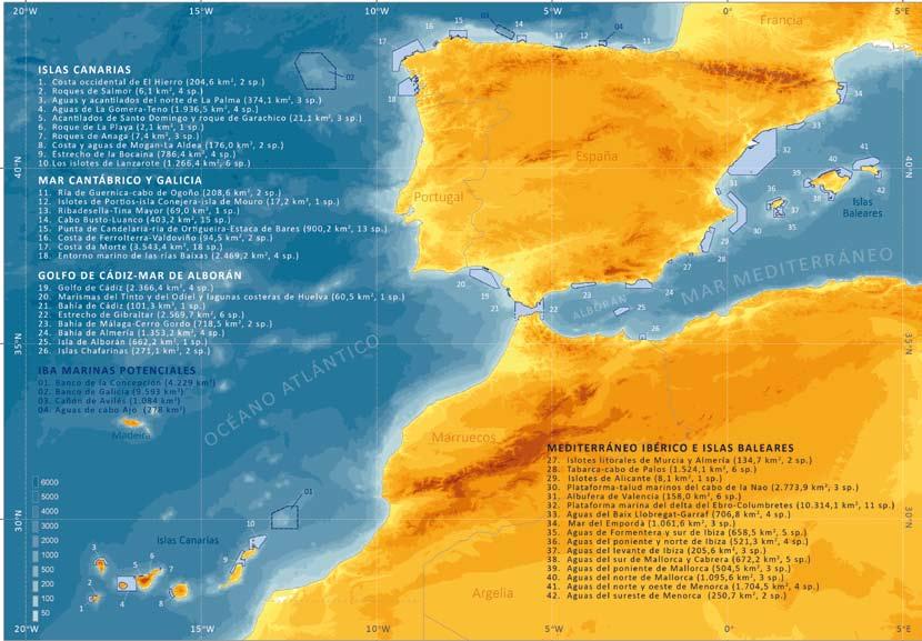 Mapa de las IBA marinas de España, así como de las áreas candidatas a serlo en un futuro próximo (IBA marinas potenciales).