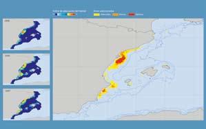 El proceso para identificar y delimitar las IBA marinas en España puede resumirse en cuatro fases principales: recogida de datos, análisis e integración, aplicación de los criterios de IBA y