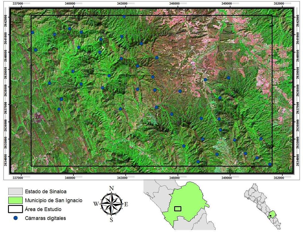 IV. EVALUACIONES SINALOA. POBLACIONALES DEL JAGUAR EN SAN IGNACIO Los sitios donde se implementó el censo de jaguar y sus presas abarco un área de más de 81 km 2. (Imagen 1).