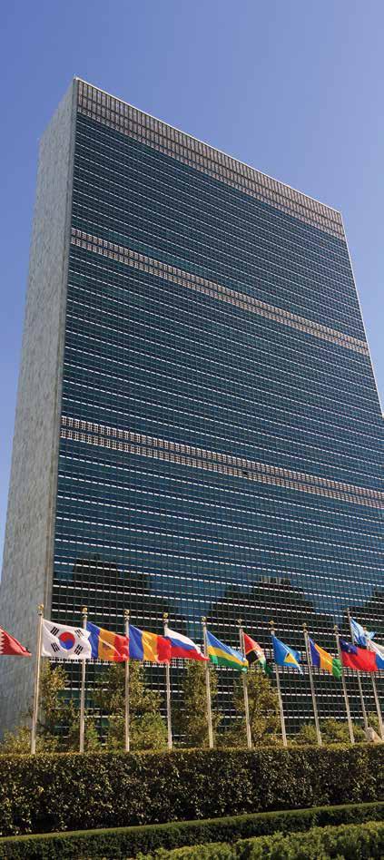 El Licenciado en Relaciones egresado de la UNITEC se prepara para operar en el campo de las negociaciones a escala mundial, destacando por su capacidad para analizar los principales temas de la