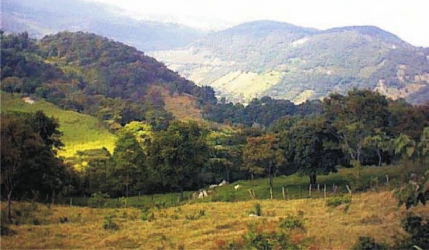 Regionalización y ordenamiento del territorio Regiones de la Comisión nacional forestal La Comisión Nacional Forestal (Conafor) fue creada en abril del 2001 como un organismo público descentralizado