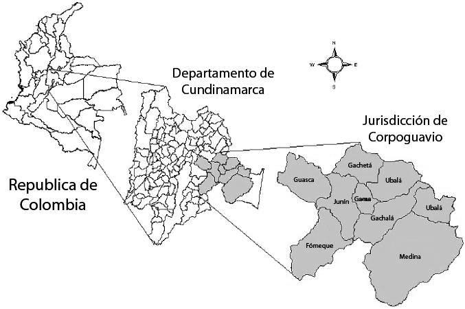 Ocelote y margay en los Andes 133 Métodos El área de estudio correspondió a la jurisdicción de Corpoguavio que se encuentra localizada en la región central de Colombia y comprende zonas